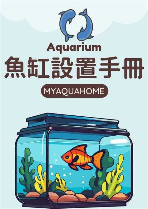 懶人養魚|不只一只魚